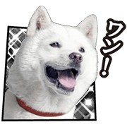 White Family's Best Selection Sticker for LINE & WhatsApp | ZIP: GIF & PNG