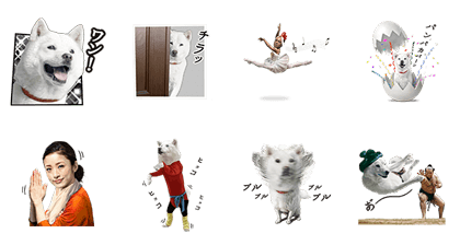 White Family's Best Selection Line Sticker GIF & PNG Pack: Animated & Transparent No Background | WhatsApp Sticker