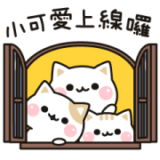 Cat to Concern (Family Contact) Sticker for LINE & WhatsApp | ZIP: GIF & PNG