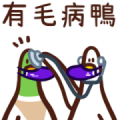 Duck and its daily life