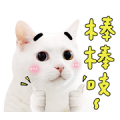 Iambaiji Photo Version 2
