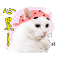 Iambaijiji-Housekeeper version Iambaijiji-Housekeeper version