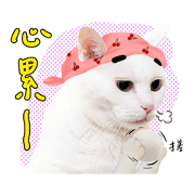 Iambaijiji-Housekeeper version Sticker for LINE & WhatsApp | ZIP: GIF & PNG