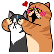 Meow Me 2 Meow Me 2 Sticker for LINE & WhatsApp | ZIP: GIF & PNG