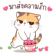 Soidow Cat 6 Sticker for LINE & WhatsApp | ZIP: GIF & PNG