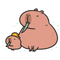 Capybara Mom and Baby: Cute Moves