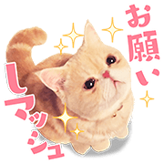 Mash Sticker for LINE & WhatsApp | ZIP: GIF & PNG