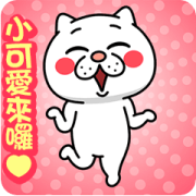 POP UP Annoying Cat 3 Sticker for LINE & WhatsApp | ZIP: GIF & PNG