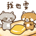 Raccoon House 1