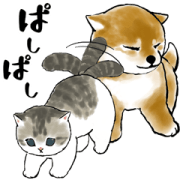 Animated Shiba and Nyan Animated Shiba and Nyan Sticker for LINE & WhatsApp | ZIP: GIF & PNG