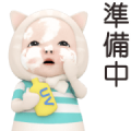 Cat Towel Daily Sticker for LINE & WhatsApp | ZIP: GIF & PNG