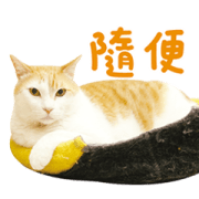 Fumeancats-Happy Cats Happy Life Fumeancats-Happy Cats Happy Life Sticker for LINE & WhatsApp | ZIP: GIF & PNG