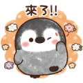 Pastel Penguin Pop-Up Everyday