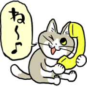 Chatty Phone Cat Sticker for LINE & WhatsApp | ZIP: GIF & PNG