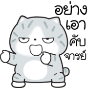 Munkaew Funny Cat V.7 Sticker for LINE & WhatsApp | ZIP: GIF & PNG
