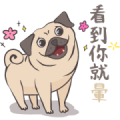 Music Sticker: Catching Feelings for You Sticker for LINE & WhatsApp | ZIP: GIF & PNG