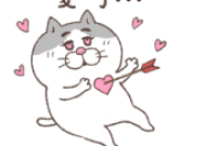 Cat of a Bad Face: In Love Sticker for LINE & WhatsApp | ZIP: GIF & PNG