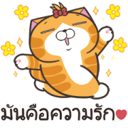 Lan Lan Cat: In Love Sticker for LINE & WhatsApp | ZIP: GIF & PNG