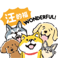 SHIBANBAN: Together with friends