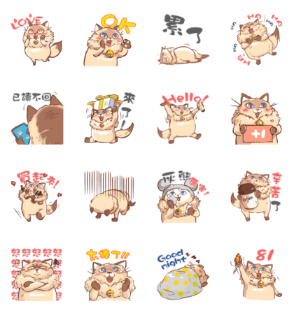 Jealousness-Meow’s daily life WhatsApp Sticker