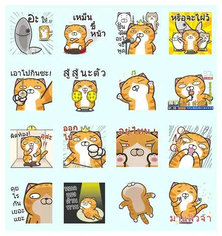 Lan Lan Cat: Larger and Louder! WhatsApp Sticker GIF-6815