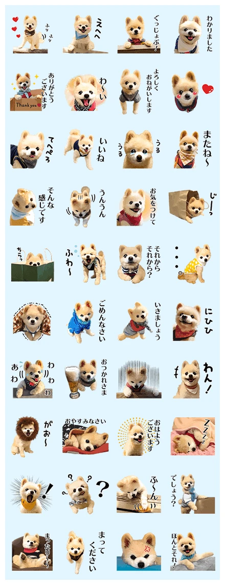Shunsuke the Dog WhatsApp Sticker PNG