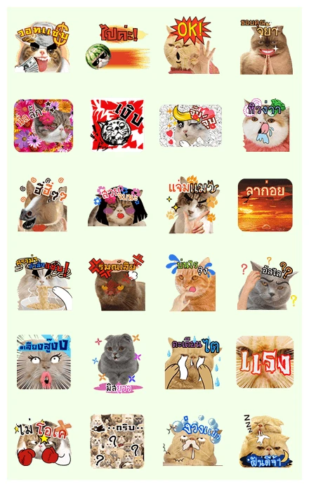 CATURDAY: Let's Get Loud! WhatsApp Sticker PNG