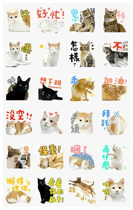 The Fumeancats Life WhatsApp Sticker PNG