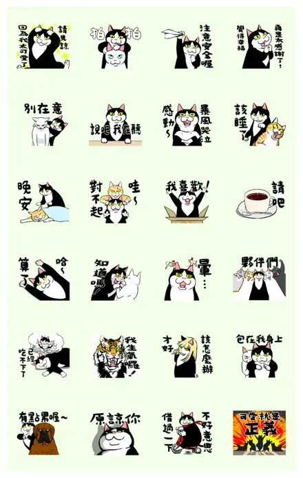 A Little Fat Cat Animation: Healing WhatsApp Sticker GIF-13029