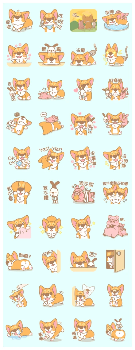 Corgi PonPon: Cute & Healing WhatsApp Sticker PNG