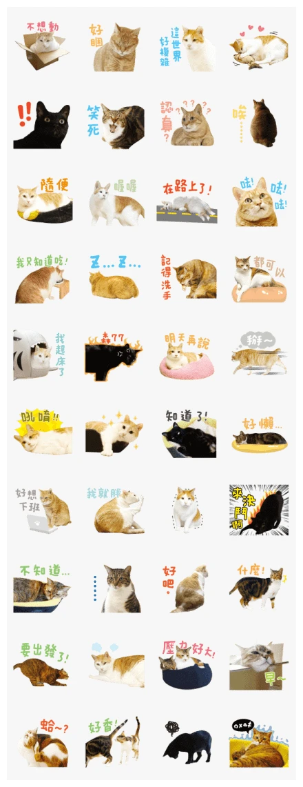 Fumeancats-Happy Cats Happy Life WhatsApp Sticker PNG