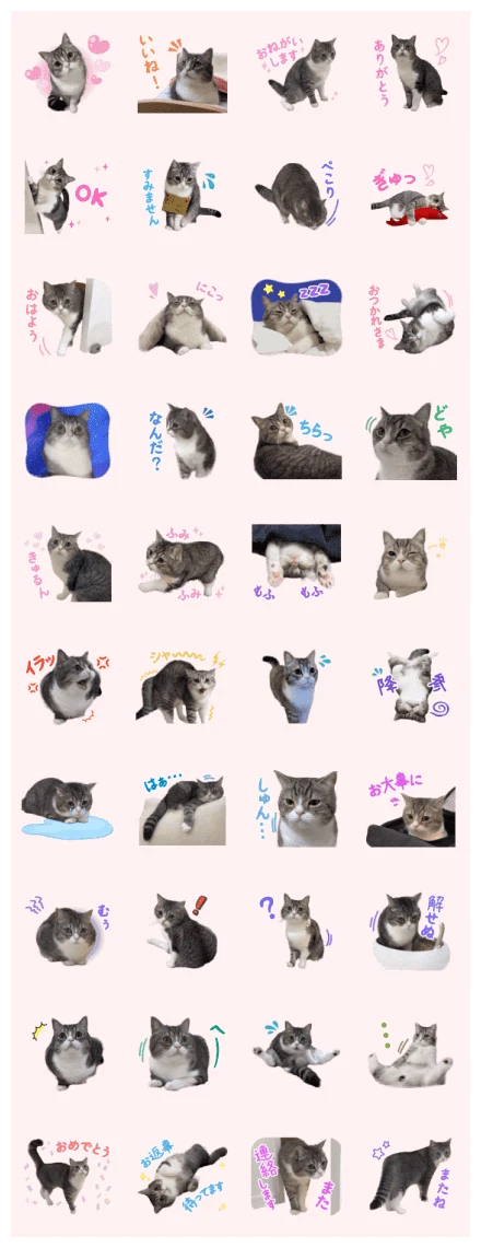 Motisama WhatsApp Sticker PNG