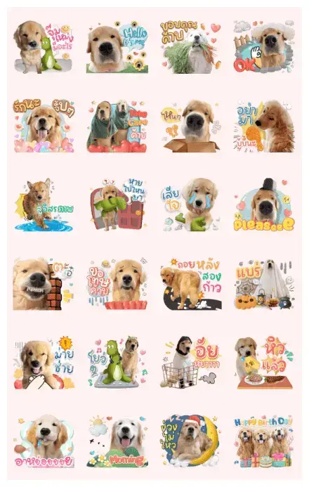 Joommeng Mee Arai WhatsApp Sticker GIF