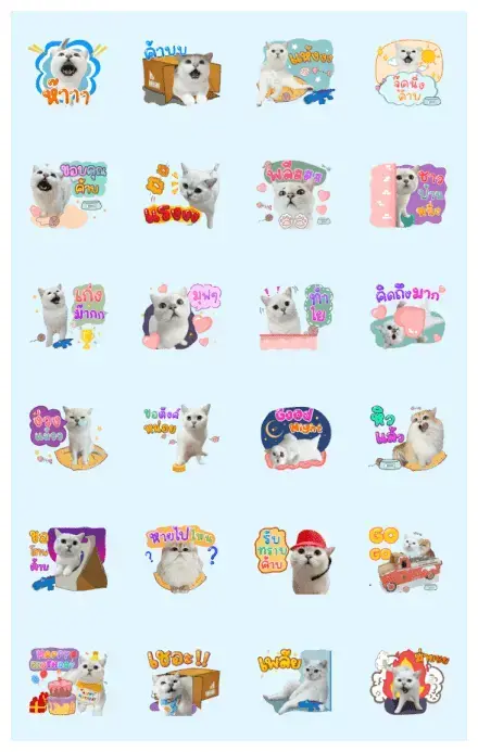Kimbap Cat WhatsApp Sticker GIF-30841