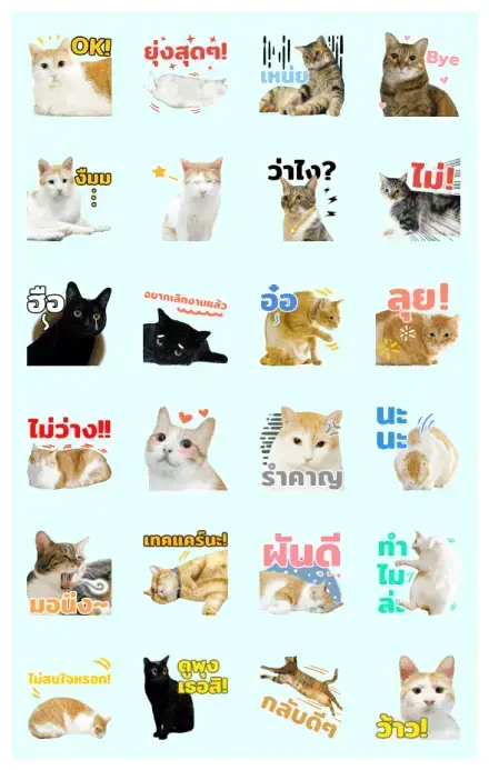 The Fumeancats Life WhatsApp Sticker GIF-32449