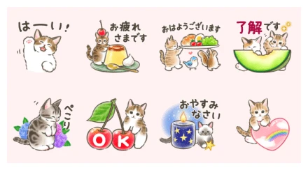Cat Stickers×LINE Sukimani WhatsApp Sticker PNG