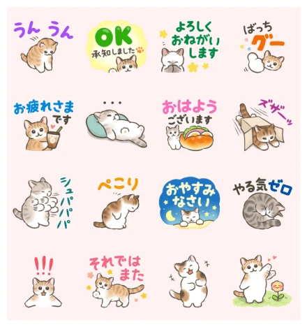 Cat Stickers (Daily messages) WhatsApp Sticker PNG
