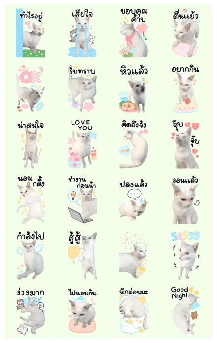 Snow the White Cat WhatsApp Sticker PNG