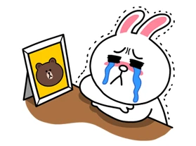 Cony: Special Edition