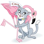 Cici & Vivi: Best Friends Forever