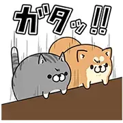 LINE LIVE with Plump dog and cat LINE LIVE with Plump dog and cat
