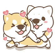 Shiba Inu Love Shiba Inu Love