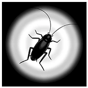 Cockroach Moving: Climbing Your Screen