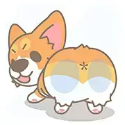 Corgi PonPon comes to your heart!