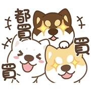 Naughty Shiba Inu