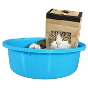 Maru the Cat Maru the Cat