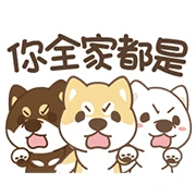 Three Aggressive Shiba Inu ChaiChai!