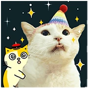 AMA Big Stickers 10th Limited Edition