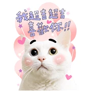 Baiji B & W Big Sticker Heartfelt Stickers Baiji B & W Big Sticker Heartfelt Stickers