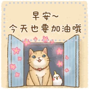 Cat’s Lifestyle: Cute Message Stickers